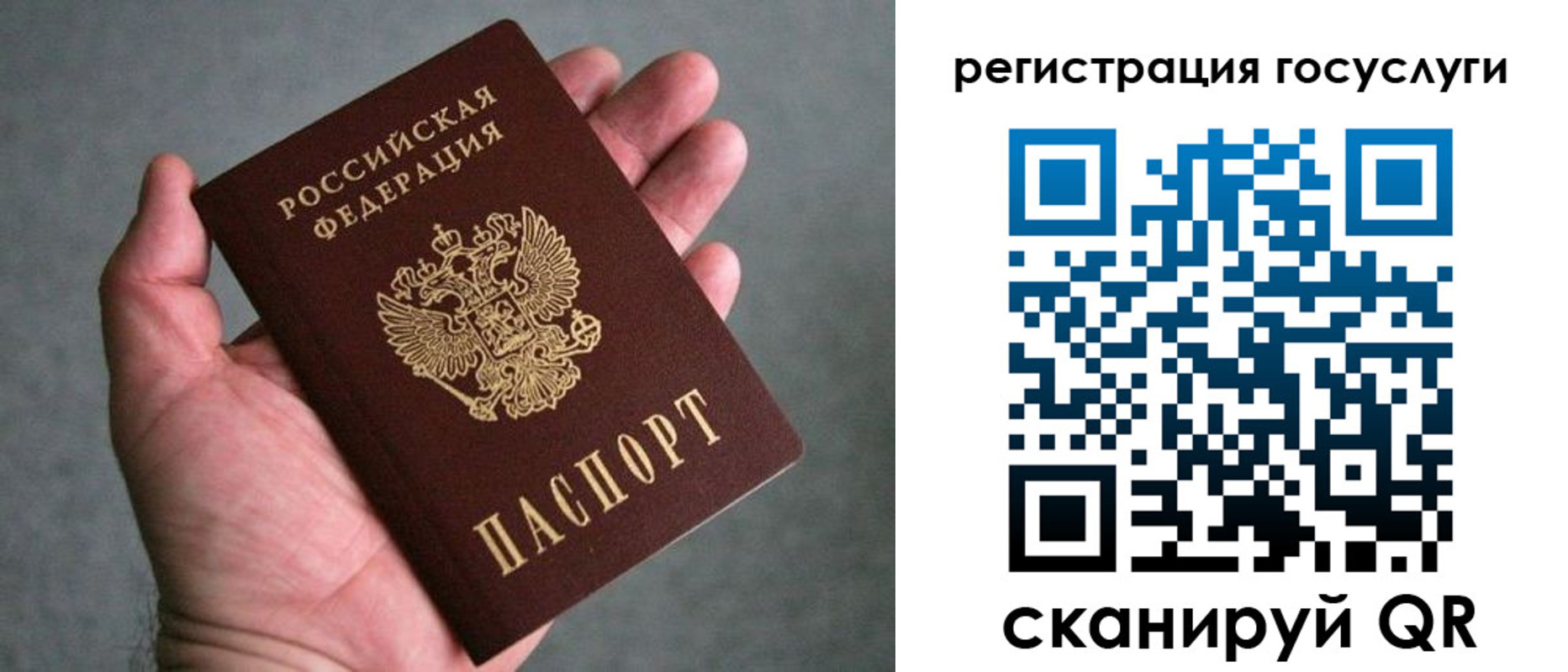 прописка поиск в Кировске